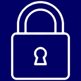 SECURITY ICON